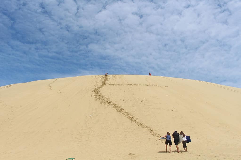 Go Sand Boarding 