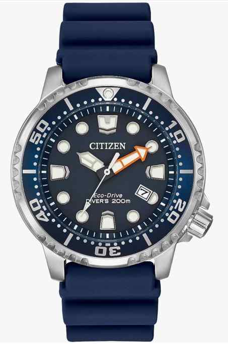 PROMASTER DIVER BLUE DIAL