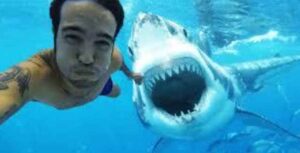 deadliest selfies