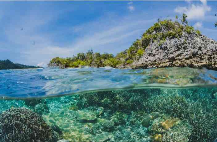 Beach Activities in Phi Phi