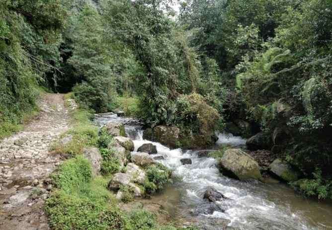 Shivapuri National Park Hike Trail