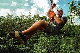Thrill-Seeking Zipline Adventures in the Jungle
