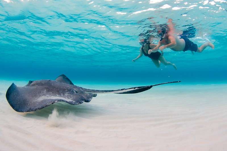 Diving Cayman Islands