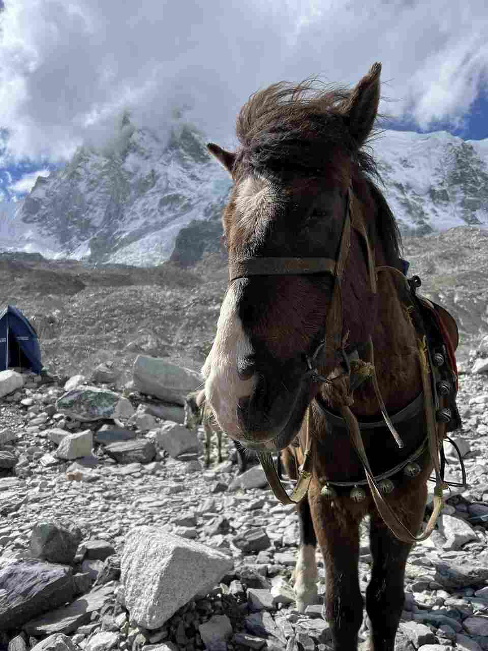 Everest Base Camp Trek with Bikat Adventures