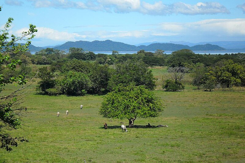 Nicoya Peninsula