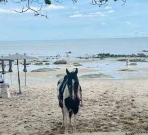 Best 15 Nude Beaches in Florida To Visit 2024