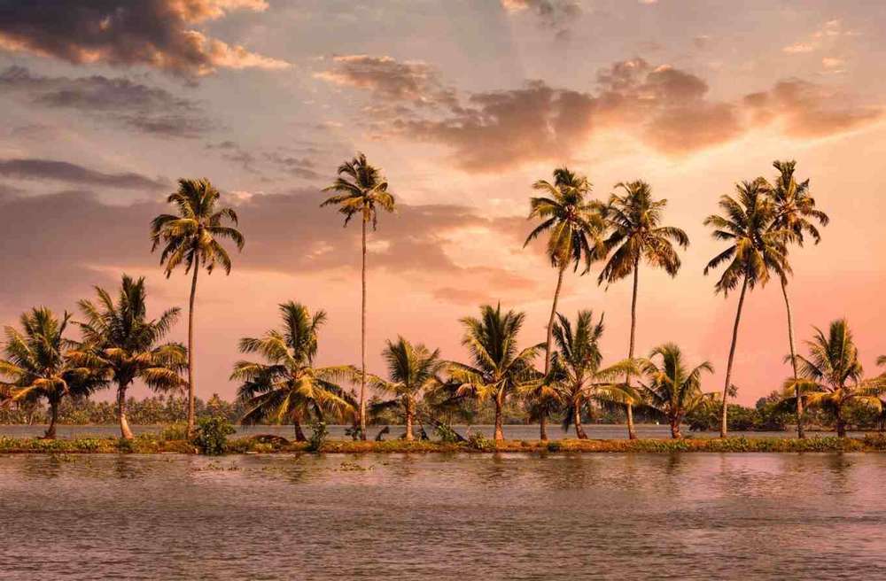 The Serenity of Kerala Backwaters