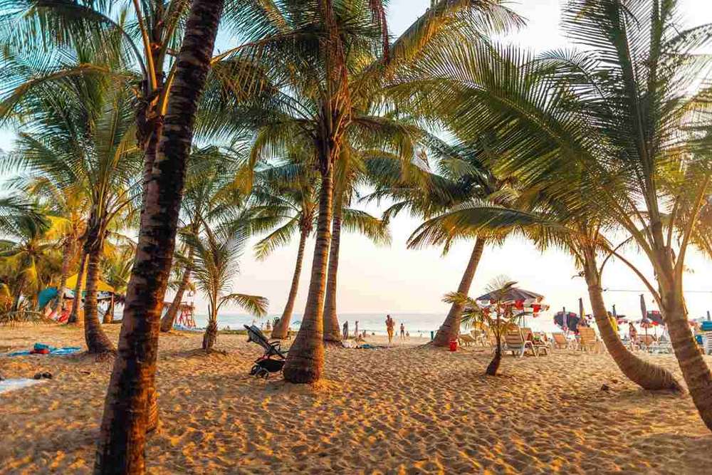Sun-Kissed Beaches of Goa