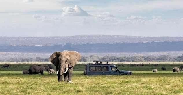 Safari in Serengeti National Park, Tanzania