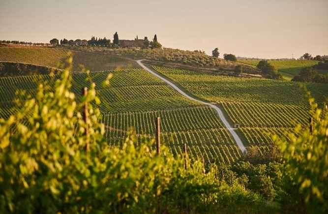 Tuscany's Scenic Drives and Savory Delights