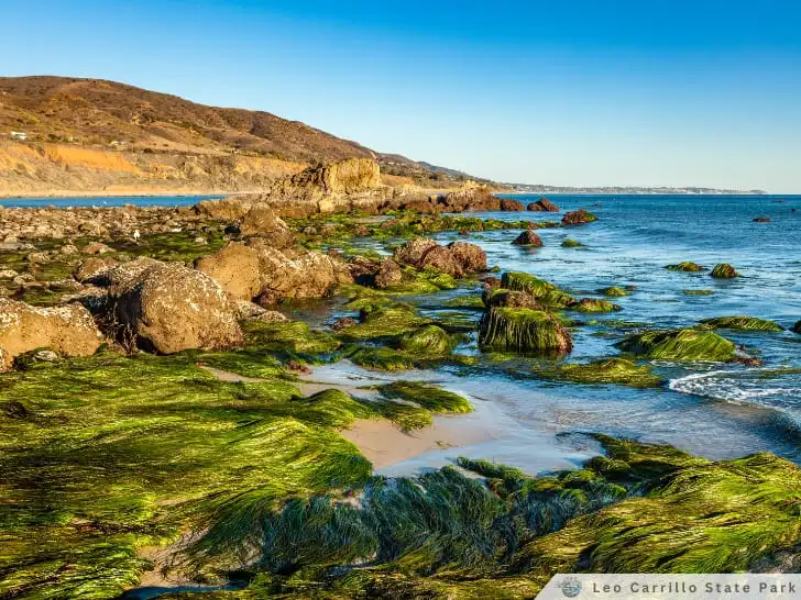 Leo Carrillo State Park