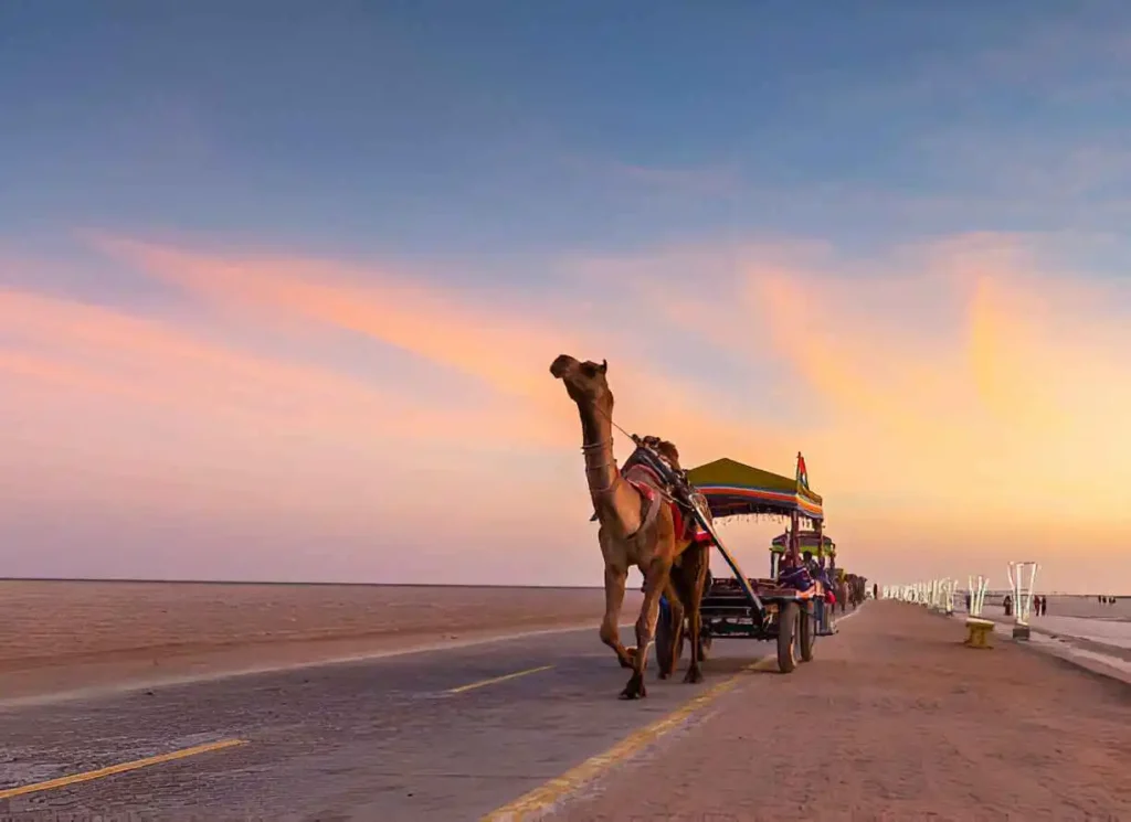 Rann Of kutch, India