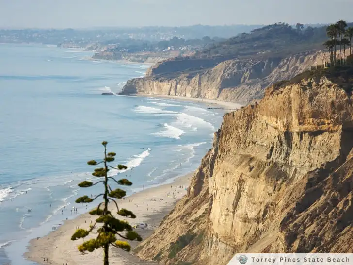 Torrey Pines State Beach