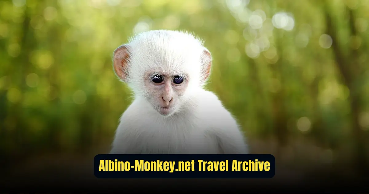 Albino-Monkey.net Travel Archives