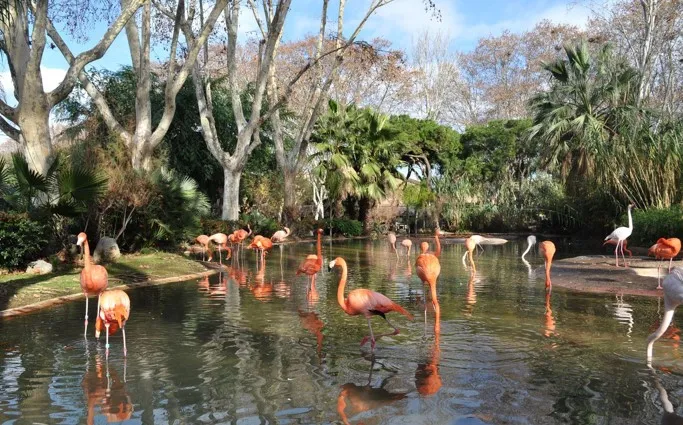 Bouma National Heritage Park