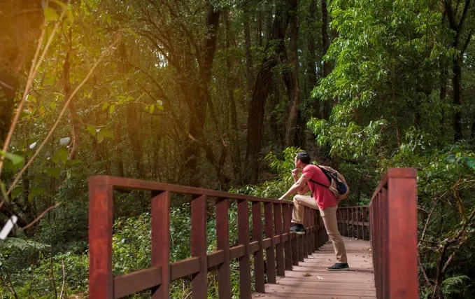 Colo-I-Suva Forest Park