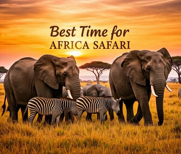 Best Time for African Safari