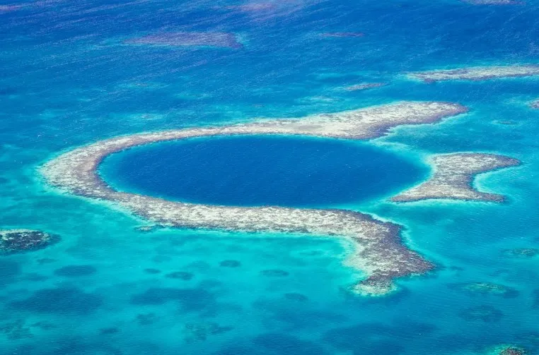 The shallow reef around the rim of the Great Blue Hole teems with life.