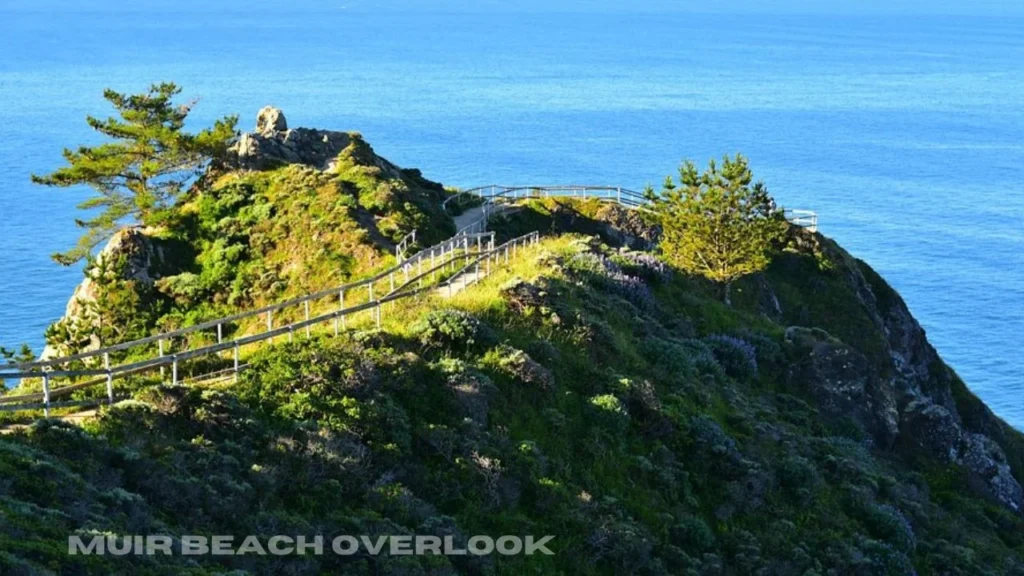 Muir Beach Overlook