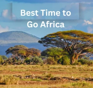 The Best Time to Go to Africa