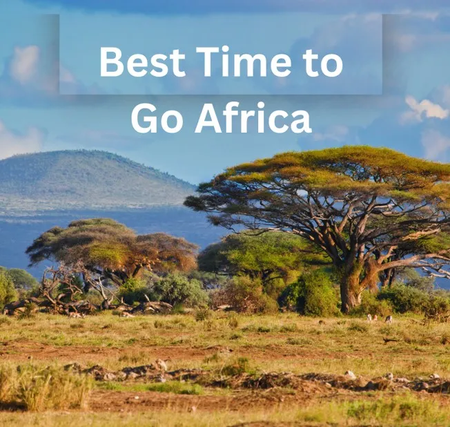 The Best Time to Go to Africa – Essential Travel Guide