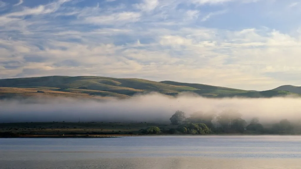 Why Visit Tomales Bay