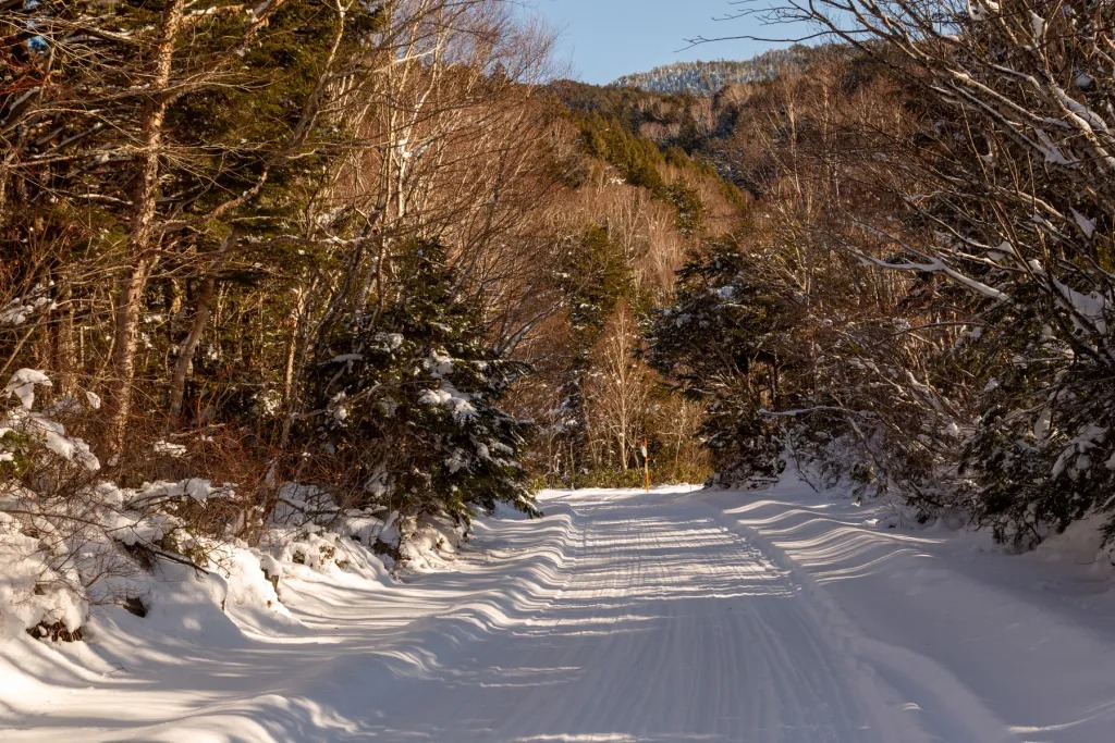 Exploring Winter Trails and Frozen Peaks