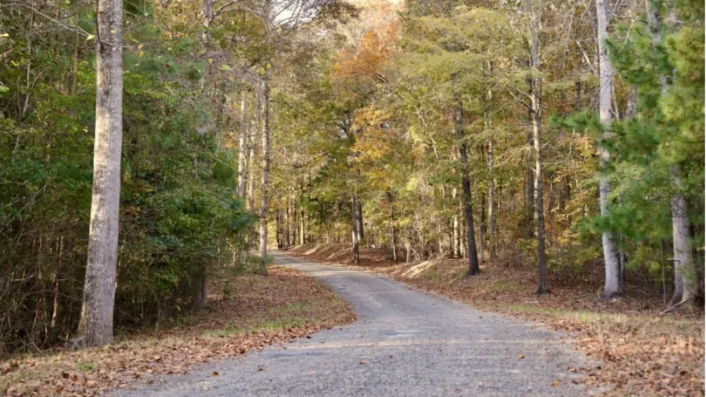 Alabama: Cheaha State Park