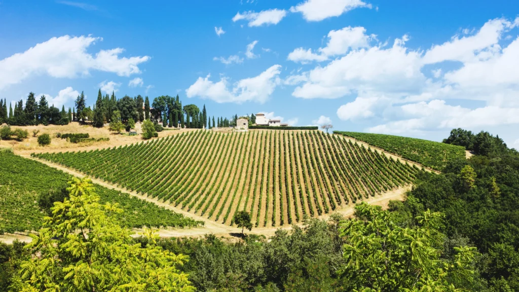 Chianti Italy