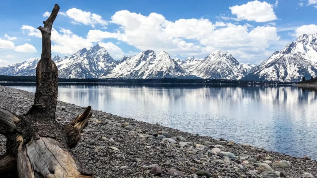 Jackson Hole