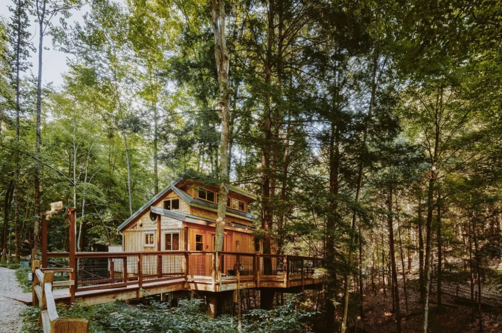 Marketing Your Cabin Rental: Strategies To Follow 