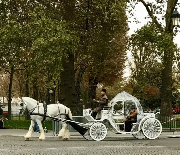 Paris, France: A Love Story in Every Corner