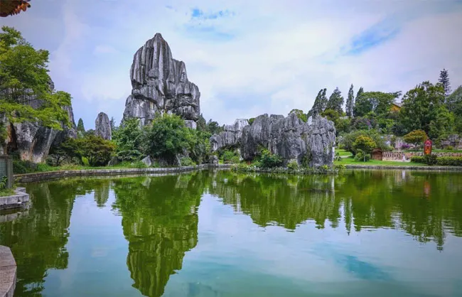 Stone Forest