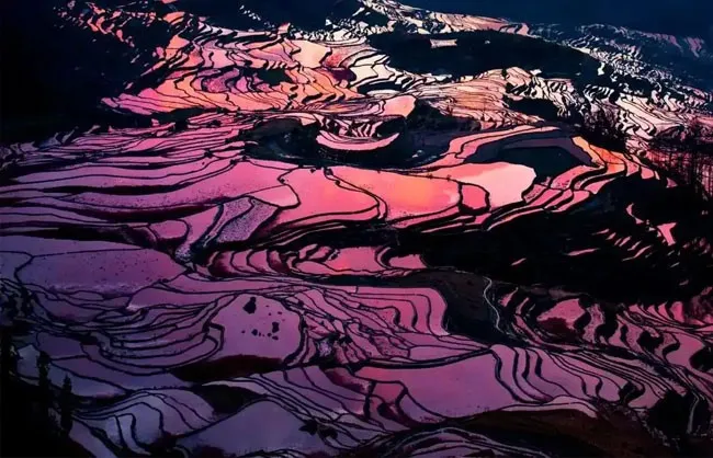 Yuanyang Rice Terraces