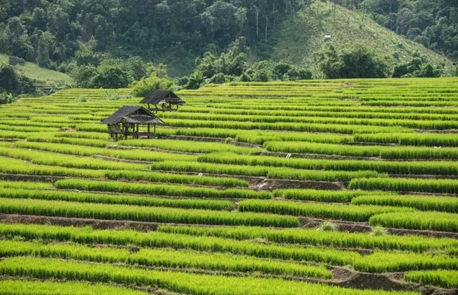 Chiang Mai, Thailand