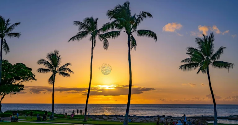 warm places to visit in February in USA