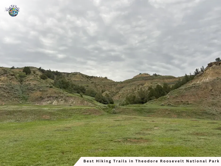 Big Plateau and Ekblom Trail Loop