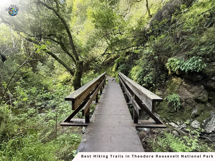 Lone Tree Spring Trail