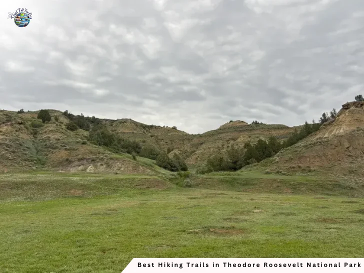 Big Plateau and Ekblom Trail Loop