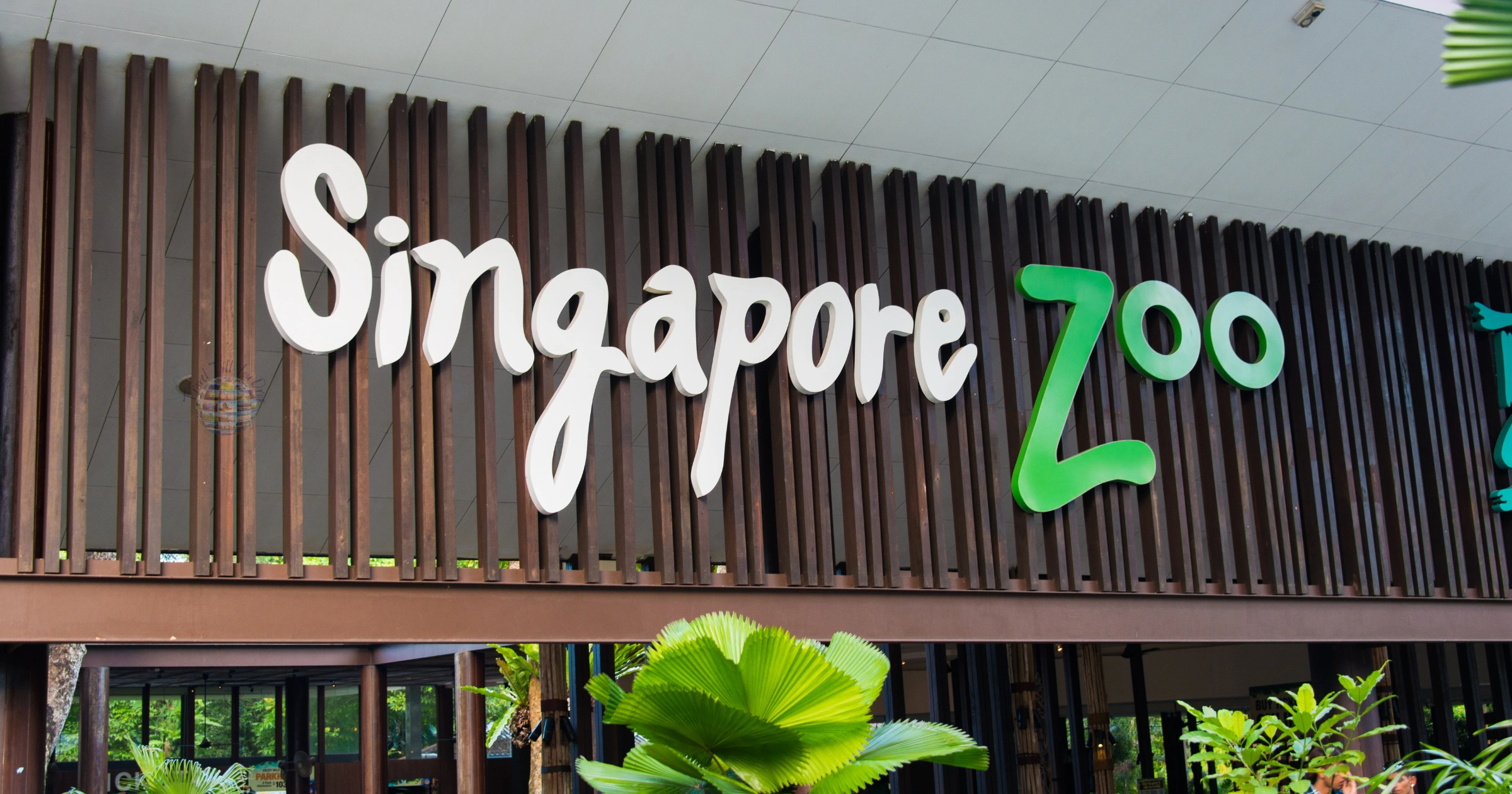 Best Activities and Things to Do in Singapore for Travelers